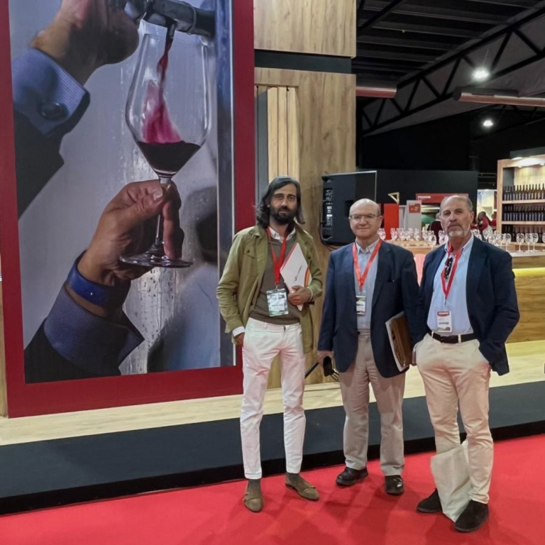 Publicación de Instagram Minimalista en Blanco y Negro con Collage de Foto Sencillo